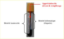 Comment coller en pratique Comment coller en pratique